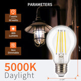 A19-Dusk2Dawn-7W-5000K-4PK