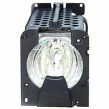 Jaspertronics™ Original BL-FP120A Lamp & Housing for Optoma Projectors - 1 Year Warranty