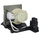 AL™ Series BL-FP190A Lamp & Housing for Optoma Projectors - 90 Day Warranty