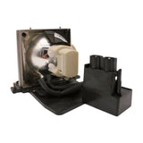 AL™ Series SP.8AE01GC01 Lamp & Housing for Optoma Projectors - 90 Day Warranty