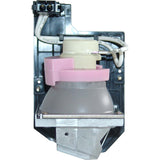 AL™ Series Lamp & Housing for The Optoma HD20 Projector - 90 Day Warranty
