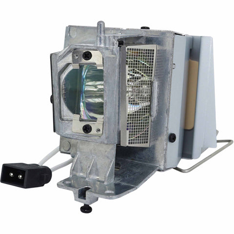 Replacement Lamp for P1387W