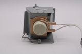 AL™ Series Lamp & Housing for The Acer P5515 Projector - 90 Day Warranty