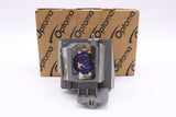 Optoma Lamp & Housing for the Acer P1287 Projector - 1 Year Warranty