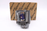 Optoma Lamp & Housing for The Acer P5515 Projector - 1 Year Warranty