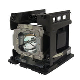 H5095-LAMP