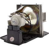 AL™ Series BL-FP330A Lamp & Housing for Optoma Projectors - 90 Day Warranty