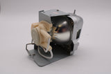 Genuine AL™ BL-FU240E Lamp & Housing for Optoma Projectors - 90 Day Warranty