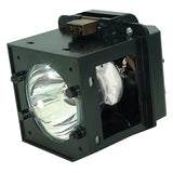 D42-LMP