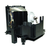 Jaspertronics™ Original ZU0296044010 Lamp & Housing for Liesegang Projectors - 1 Year Warranty