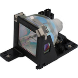 ELPLP19