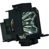 ELPLP22