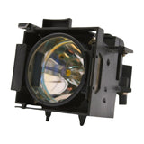 ELPLP37