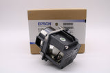 Epson Lamp & Housing for The Pro G7100 Projector - 1 Year Warranty
