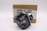OEM Lamp & Housing for the Pro G7400U Projector - 1 Year Jaspertronics Full Support Warranty!