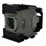 PT-AR100-LAMP