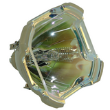 69509 Bulb