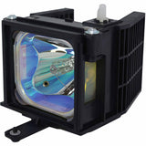 BSURE-XG2-LAMP