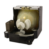 Jaspertronics™ OEM LMP-P201 Lamp & Housing for Sony Projectors with Ushio bulb inside - 240 Day Warranty