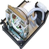 LT81 Original OEM replacement Lamp