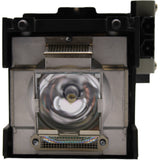 NC1000C-LAMP