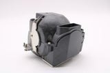 AL™ Series 60002444 Lamp & Housing for NEC Projectors - 90 Day Warranty