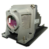 V311W-LAMP
