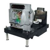 IN5555L-LAMP-A
