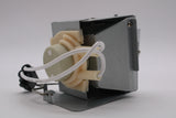 AL™ Series Lamp & Housing for The NEC NP-V302H Projector - 90 Day Warranty
