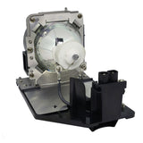 AL™ Series Lamp & Housing for The NEC P502W Projector - 90 Day Warranty