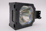AL™ Series 003-003698-01 Lamp & Housing for Sanyo Projectors - 90 Day Warranty