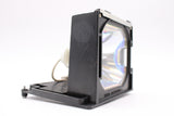 Genuine AL™ 55030070 Lamp & Housing for Sanyo Projectors - 90 Day Warranty