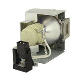 AL™ Series EY.JDP05.002 Lamp & Housing for Acer Projectors - 90 Day Warranty