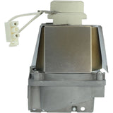 AL™ Series Lamp & Housing for The Viewsonic PJD5234 Projector - 90 Day Warranty
