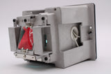PRO10500W-LAMP