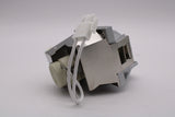 Genuine AL™ Lamp & Housing for the Viewsonic PJD6252L Projector - 90 Day Warranty