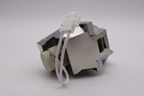 Genuine AL™ Lamp & Housing for the Viewsonic PJD5153 Projector - 90 Day Warranty