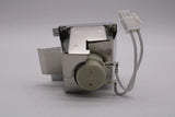 AL™ Series Lamp & Housing for The Viewsonic PJD5255 Projector - 90 Day Warranty