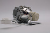 AL™ Series RLC-110 Lamp & Housing for Viewsonic Projectors - 90 Day Warranty
