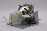 AL™ Series RLC-110 Lamp & Housing for Viewsonic Projectors - 90 Day Warranty