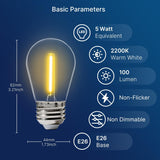 S14-Decorative-Clear-1W-2200K-15PK