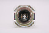 311W-PRO