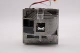 SP-LAMP-024