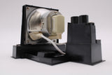 AL™ Series Lamp & Housing for The Infocus IN3102 Projector - 90 Day Warranty