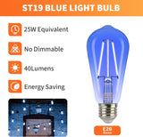 ST19-Decorative-Blue-2W-2700K-6PK
