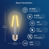 ST19-Decorative-Clear-2W-2700K-4PK