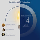 Jaspertronics™ ST19 LED Edison Bulbs for String Lights - 2700K Soft White, 2W (25W Equivalent), 180LM, E26 Base, Non-Dimmable, Energy-Efficient Outdoor Lighting for Patio, Garden, Gazebos & Events - 4 Pack