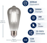 ST19-Decorative-Smoky-4W-5000K-4PK