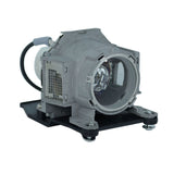 TLPLW21