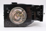 Jaspertronics™ OEM PT-50DL54J Bulb for Panasonic TVs